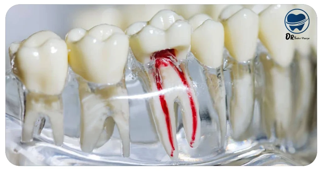 بهترین متخصص درمان ریشه در مشهد